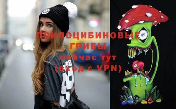 тгк Данков
